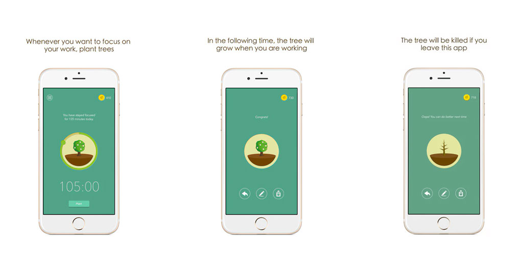 Forest productivity app tree growth