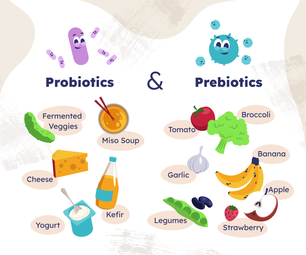 Probiotic and prebiotic foods